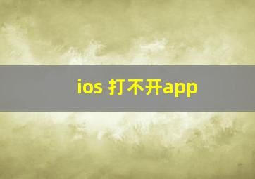 ios 打不开app